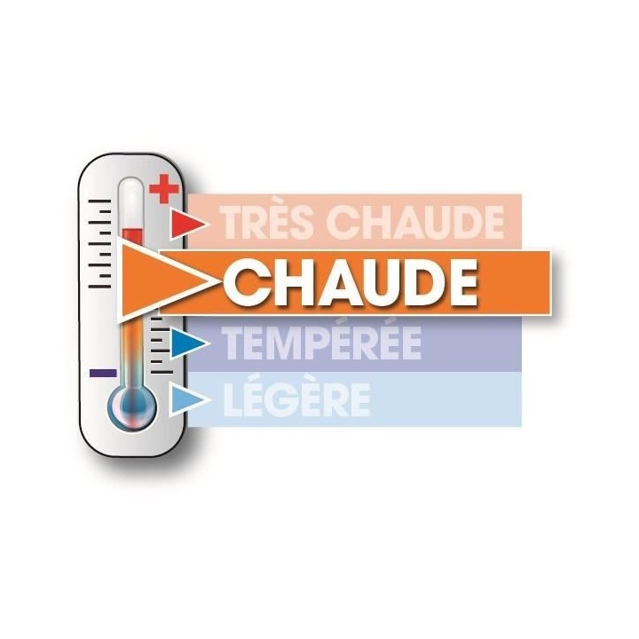 Pack linge de lit Microfibre - 1 Couette chaude 220x240 cm + 2 Oreille