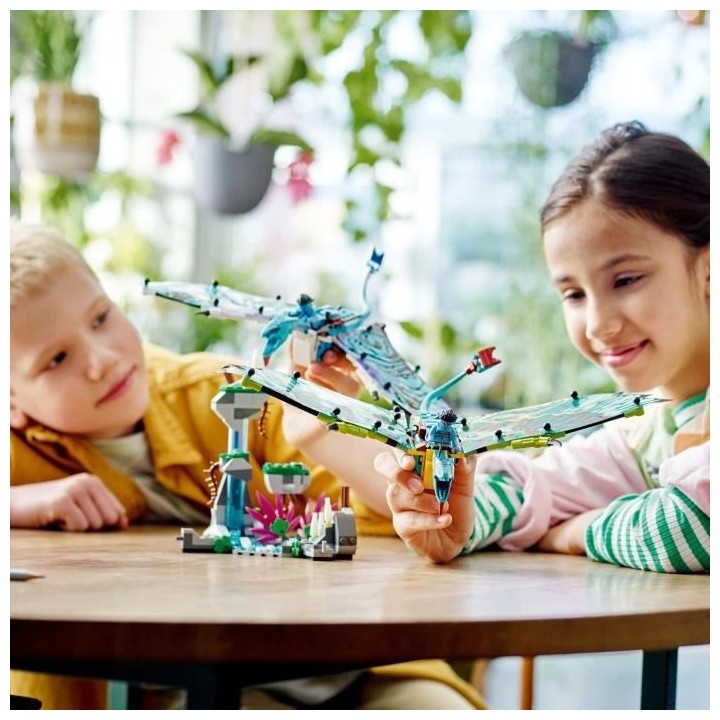 LEGO Avatar 75572 Le Premier Vol en Banshee de Jake & Neytiri, Jouet P