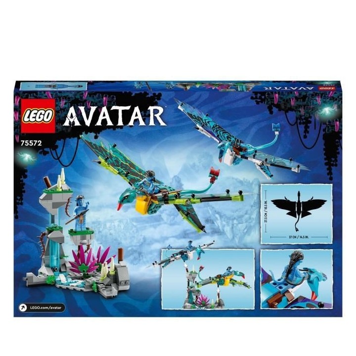LEGO Avatar 75572 Le Premier Vol en Banshee de Jake & Neytiri, Jouet P