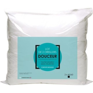 Lot de 2 oreillers Microfibre 60x60cm