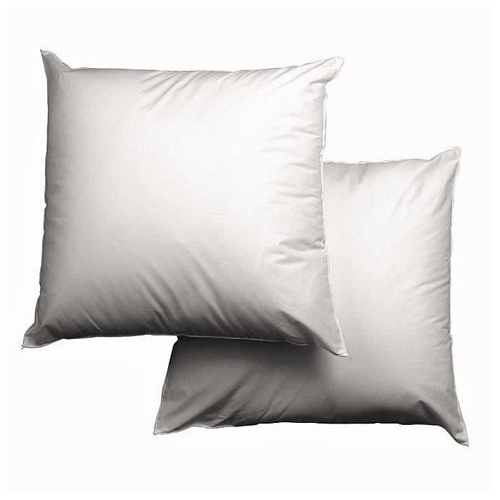 Lot de 2 oreillers Microfibre 60x60cm
