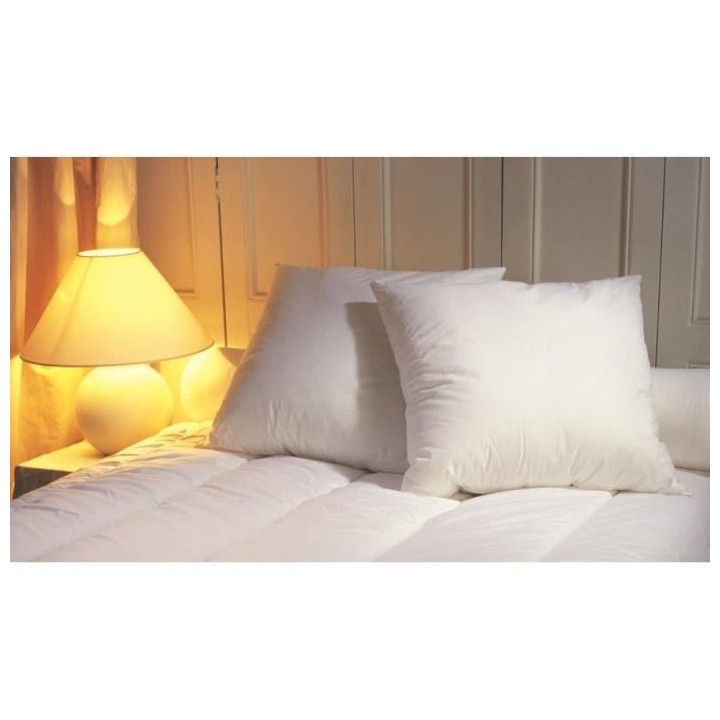 Lot de 2 oreillers Microfibre 60x60cm