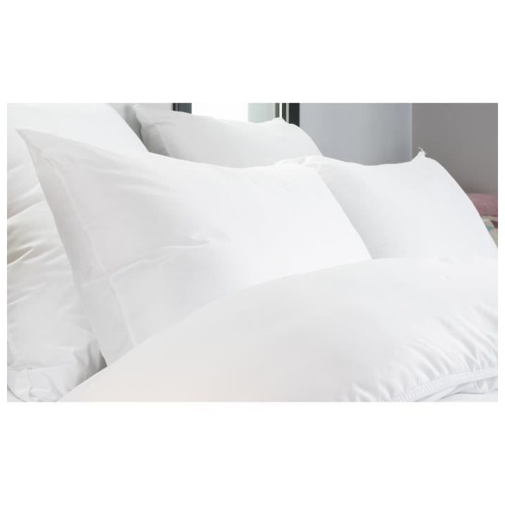 Oreiller Coton Anti-Tâches 50x70cm