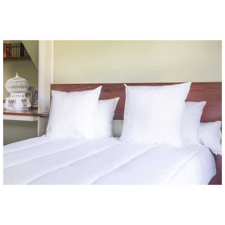 Oreiller Coton Anti-Tâches 60x60cm