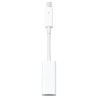 Apple Adaptateur Thunderbolt vers Ethernet Gigabit