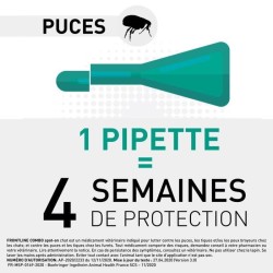 Frontline Combo Chats et Furets 6 pipettes