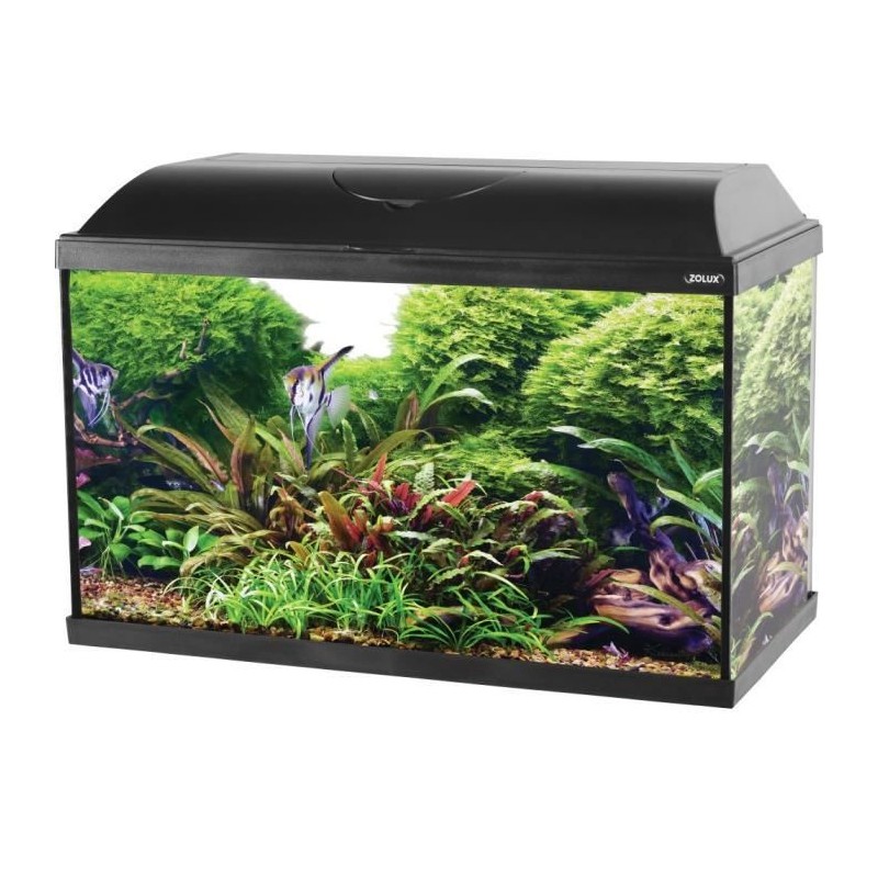 ZOLUX Aquarium ISEO équipé - 57L - L 61 x p 31 x h 42 cm - Noir