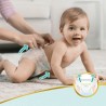 Pampers Premium Protection Pants Couches-culottes 6, 60 Culottes, 15kg+