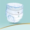 Pampers Premium Protection Pants Couches-culottes 6, 60 Culottes, 15kg+