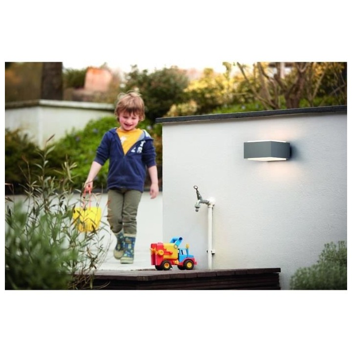 PHILIPS Hedgehog Applique extérieure - Gris - 1x42W - 230V