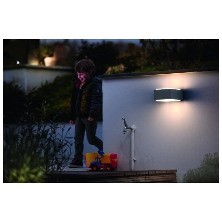 PHILIPS Hedgehog Applique extérieure - Gris - 1x42W - 230V