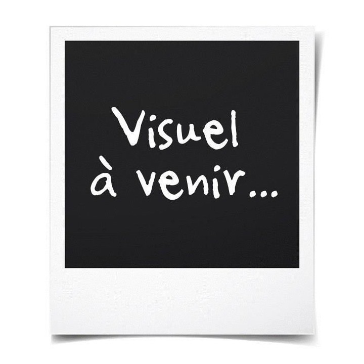 PHILIPS Hue Play Pack x2 - Noir