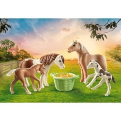 PLAYMOBIL - 71000 - 2 poneys islandais et poulains