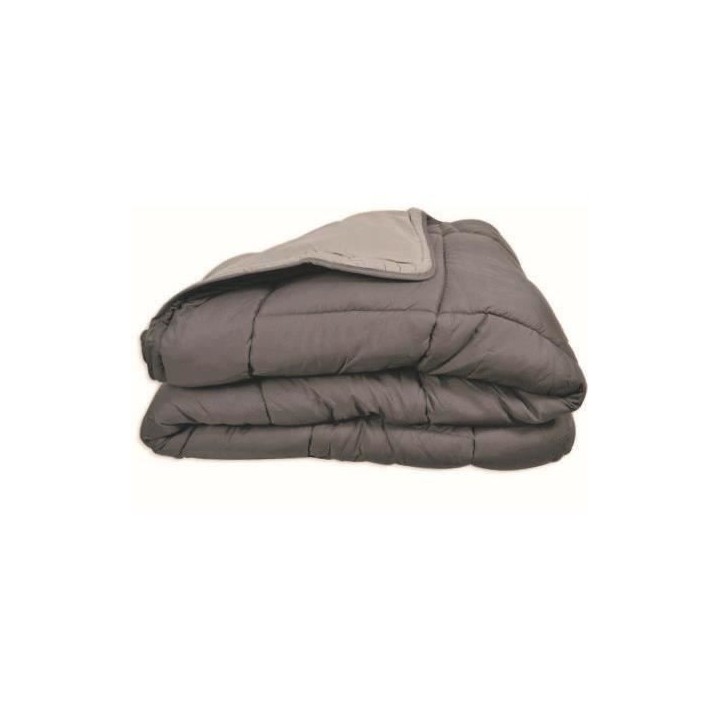 CALGARY Couette chaude Microfibre 400g/m² Acier & Argent 240x260cm