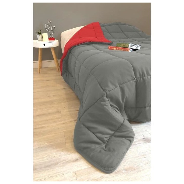 CALGARY Couette chaude Microfibre 400g/m² Gris & Rouge 200x200cm