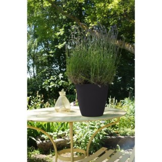 PoeTIC Pot Lilo 28 - Graphite