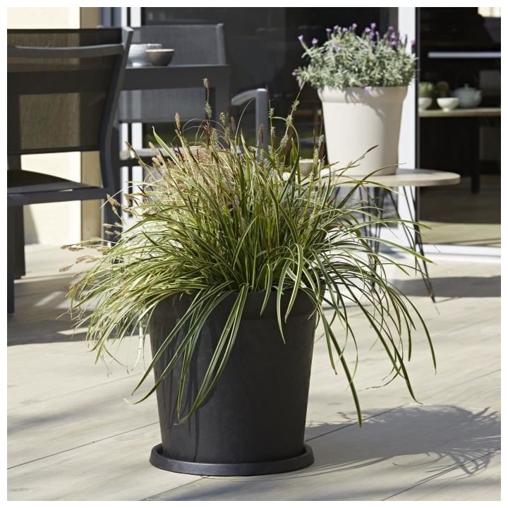 PoeTIC Pot Elément Edge 30 - Graphite