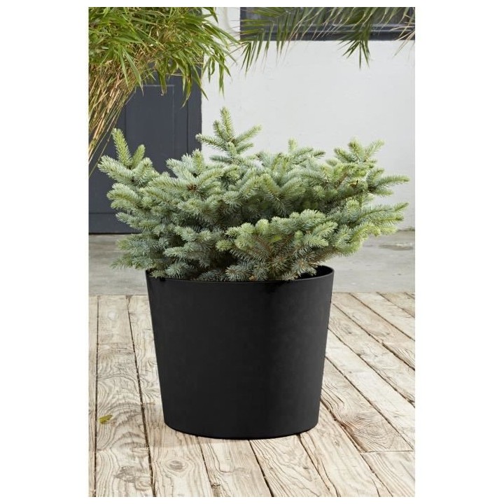 PoeTIC Pot Elément Conique 50 - Graphite