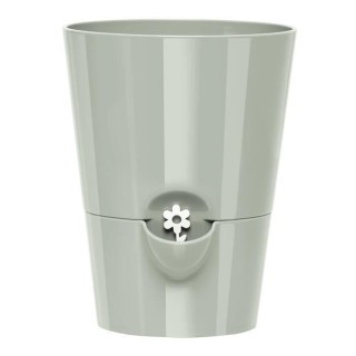 PoeTIC Pot Fresh Herbs 13 - Sauge