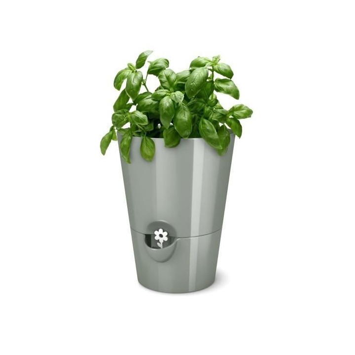 PoeTIC Pot Fresh Herbs 13 - Sauge