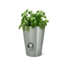 PoeTIC Pot Fresh Herbs 13 - Sauge