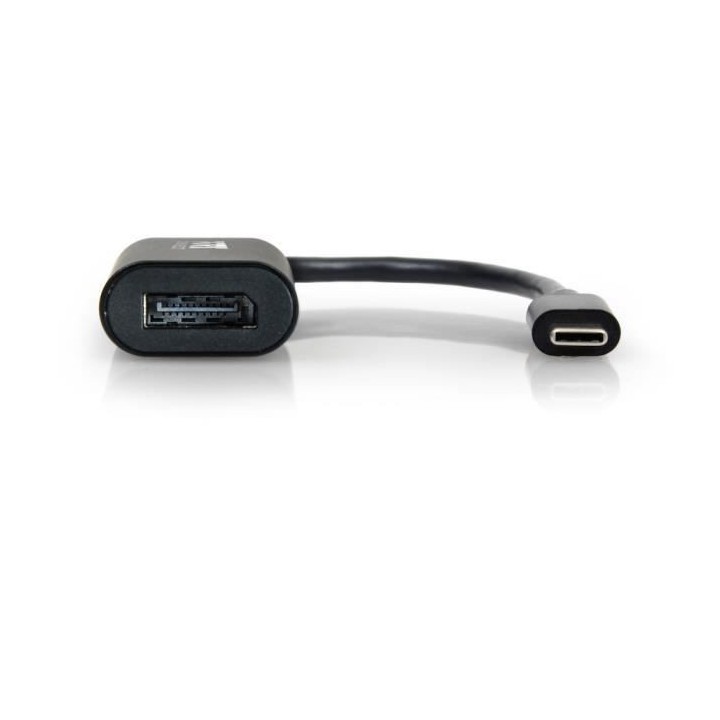 PORTDESIGNS Convertisseur USB Type C vers Display Port - Compatible Wi