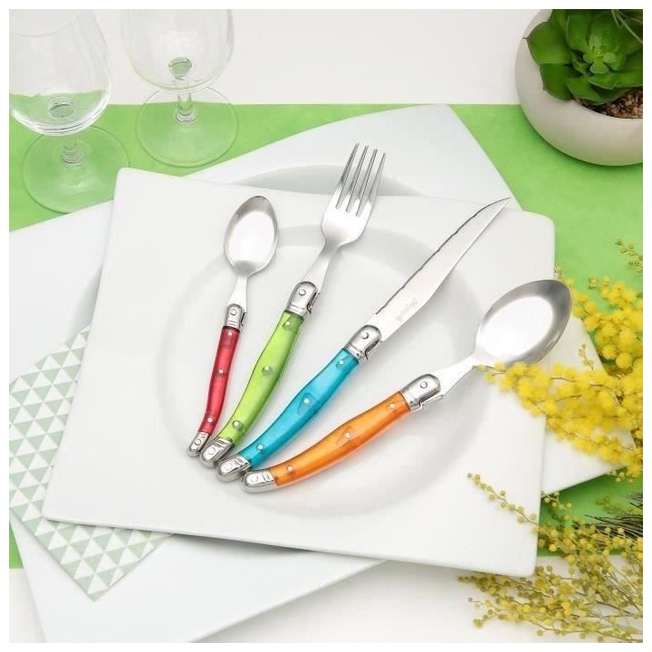 Ménagere laguiole 24 pieces -PRADEL EXCELLENCE - Manche couleur effet