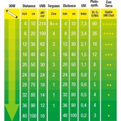 Exo Terra Reptile UVB150 30W