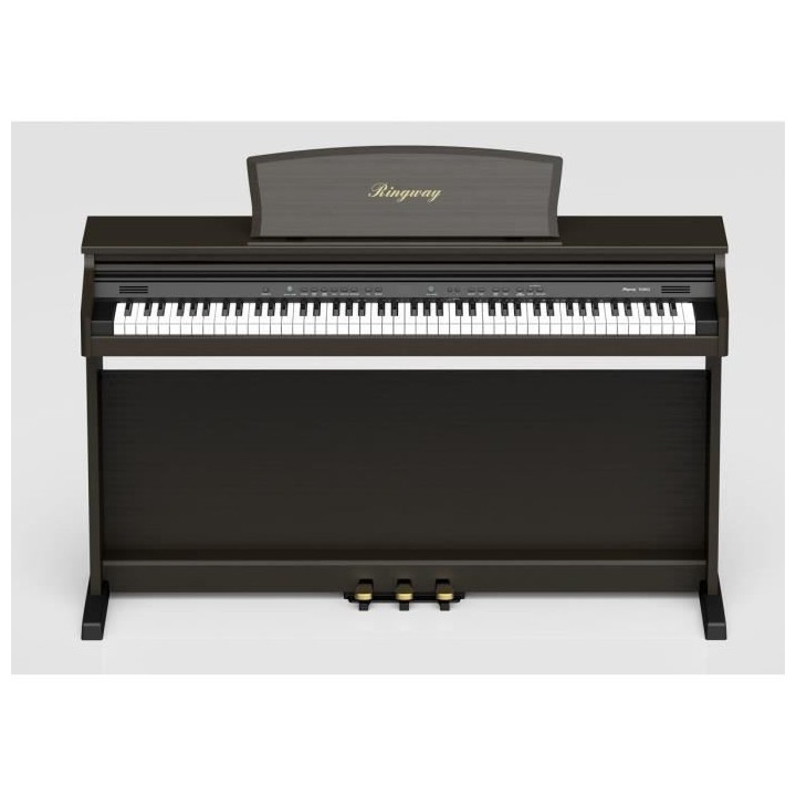 DELSON Piano Meuble Arrangeur Ringway 88 touches