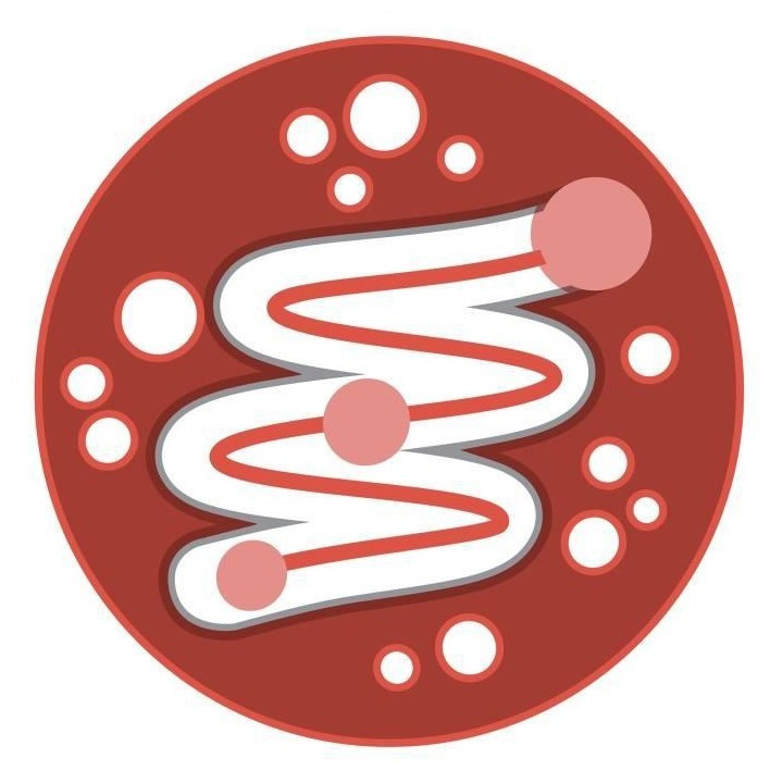 PURINA ONE Croquettes Bifensis - Aliment complet pour chats adultes -