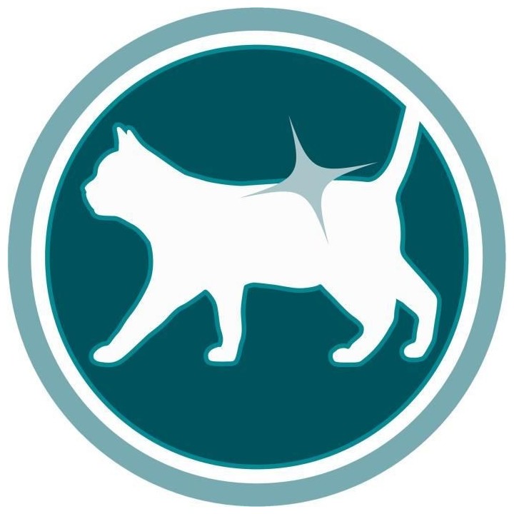 PURINA ONE Croquettes Bifensis - Pour chats adultes - 9,75 kg