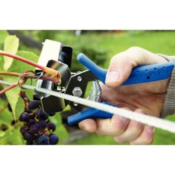 RAPID Agrafes vigne en fil clair C75 - 40107759