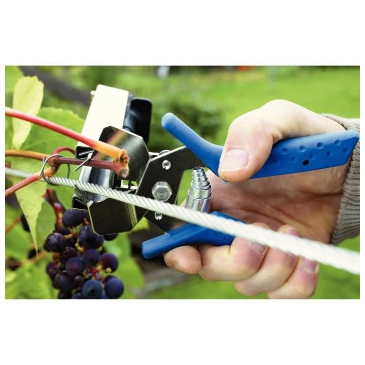 Agrafes vigne C85 de Rapid