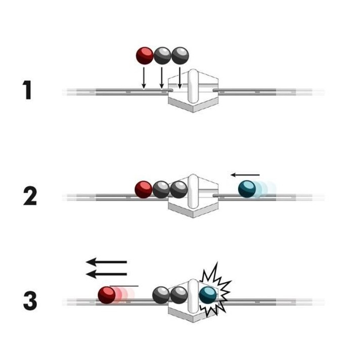 GraviTrax Bloc d'action Canon magnétique - Jeu de construction STEM -