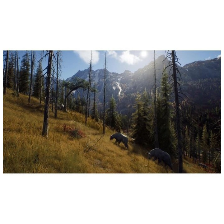 Way of the Hunter Jeu Xbox Series X