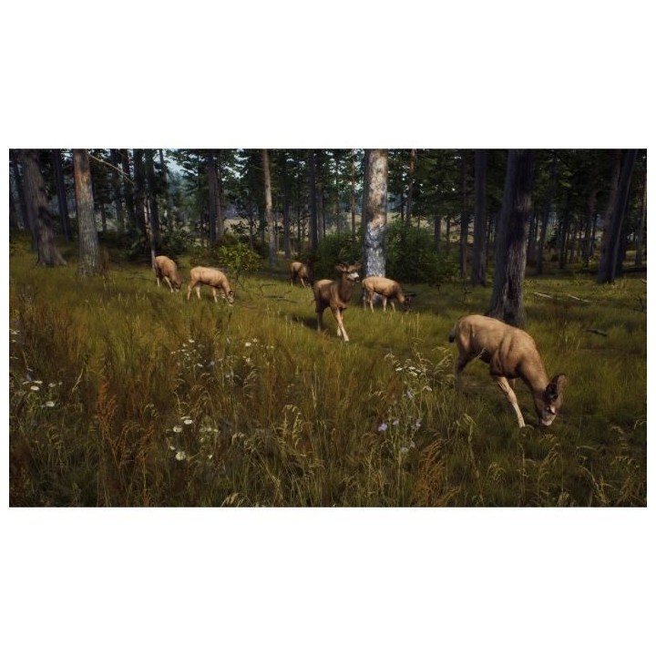 Way of the Hunter Jeu Xbox Series X