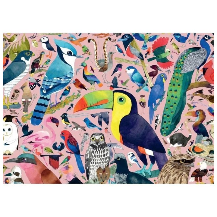 Ravensburger - Puzzle 1000 pieces - Oiseaux extraordinaires / Matt Sew