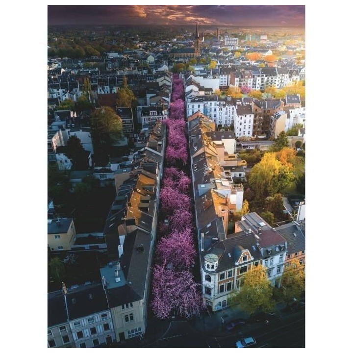 Ravensburger - Puzzle 1500 pieces - Bonn en fleurs