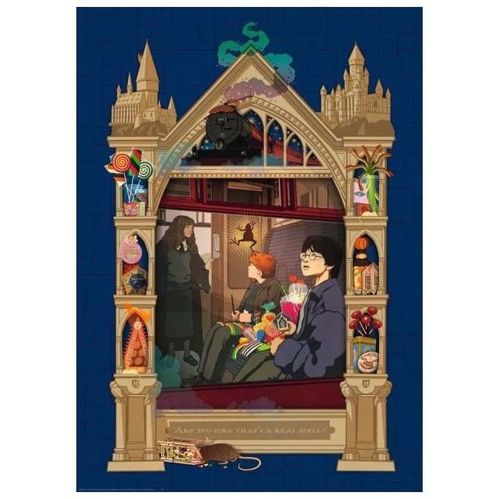 Puzzle 1000 p - Harry Potter en route vers Poudlard (Collect. Harry Po