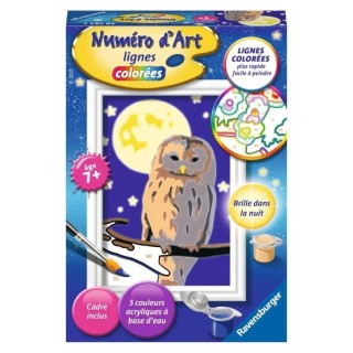 Numéro d'art - mini format - Chouette - Ravensburger - Kit complet de