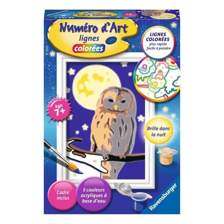 Numéro d'art - mini format - Chouette - Ravensburger - Kit complet de