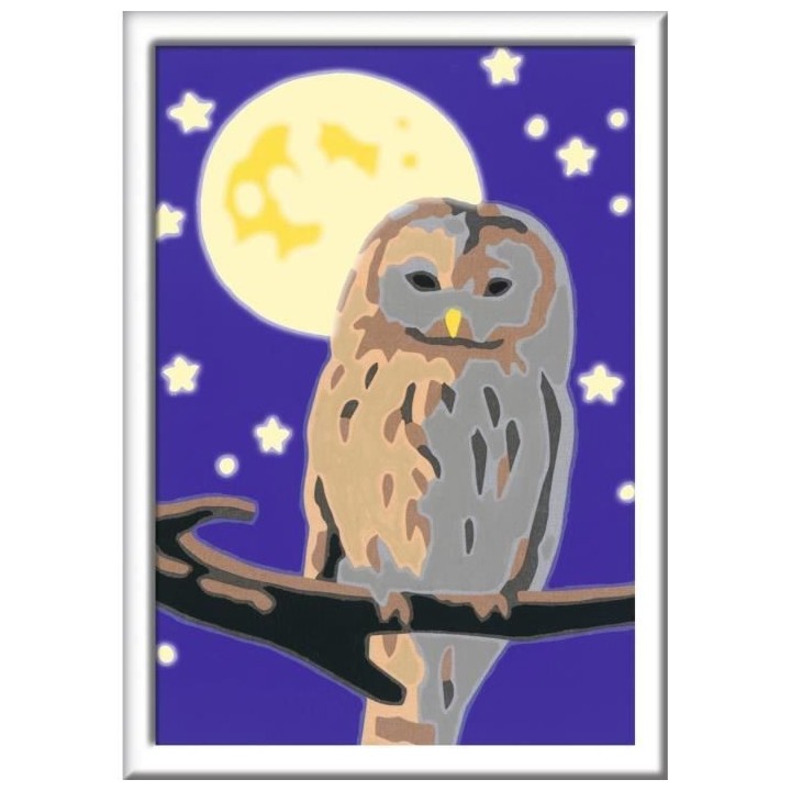 Numéro d'art - mini format - Chouette - Ravensburger - Kit complet de