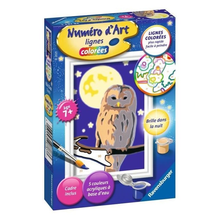 Numéro d'art - mini format - Chouette - Ravensburger - Kit complet de