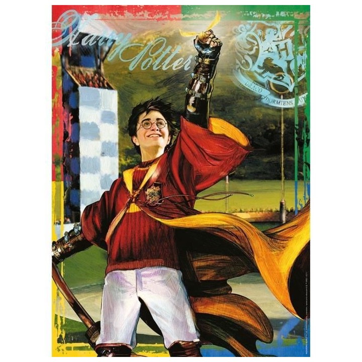 Puzzle 250 p - La passion du Quidditch / Harry Potter