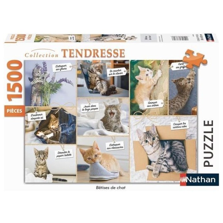 Puzzle N 1500 p - Betises de chat