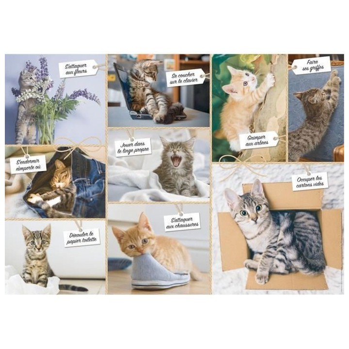 Puzzle N 1500 p - Betises de chat