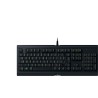 Clavier PC - RAZER - Cynosa Lite - Essential