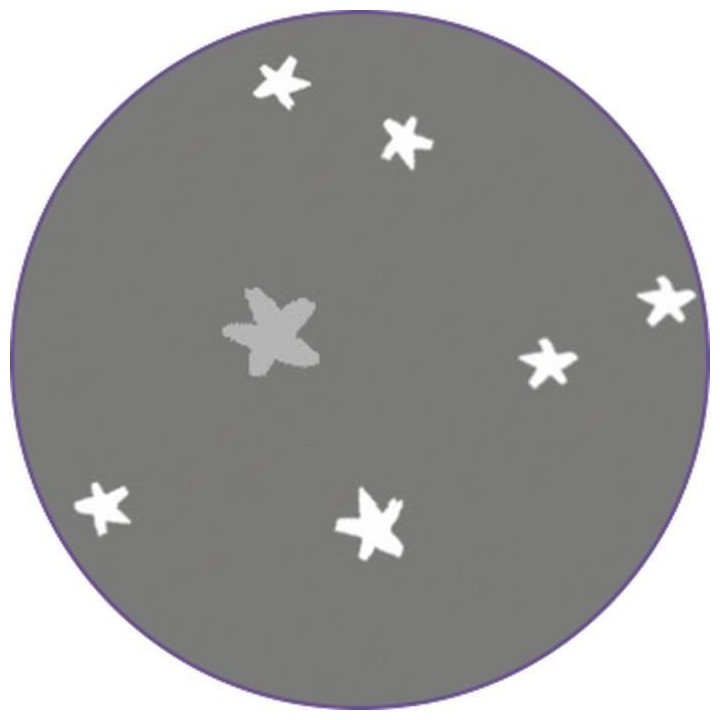 RED CASTLE Big Flopsy - Jersey de coton imprimé Stella