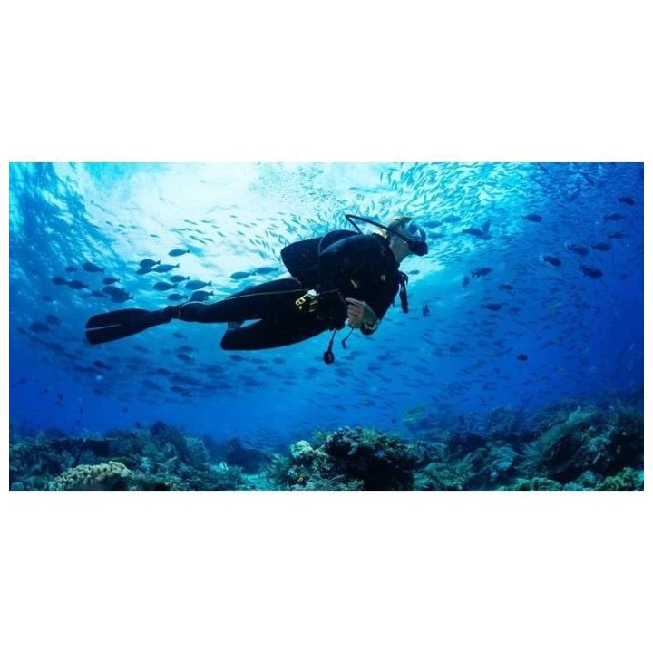 RICOH WG 80 Appareil Photo Compact Orange Etanche, 16 Megapixels, Robu