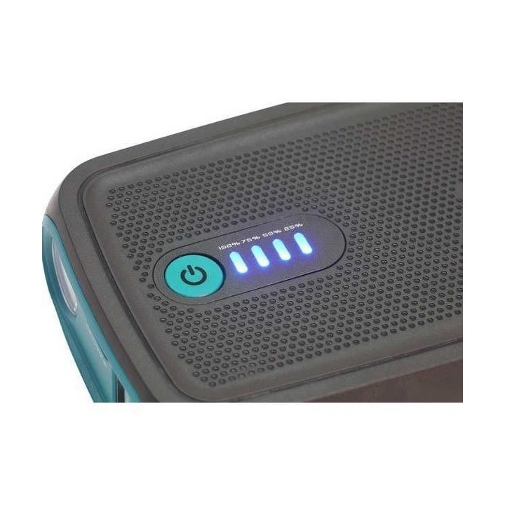 RING Booster démarreur rechargeable 12 V - Lithium 300 - 13000 mAh -